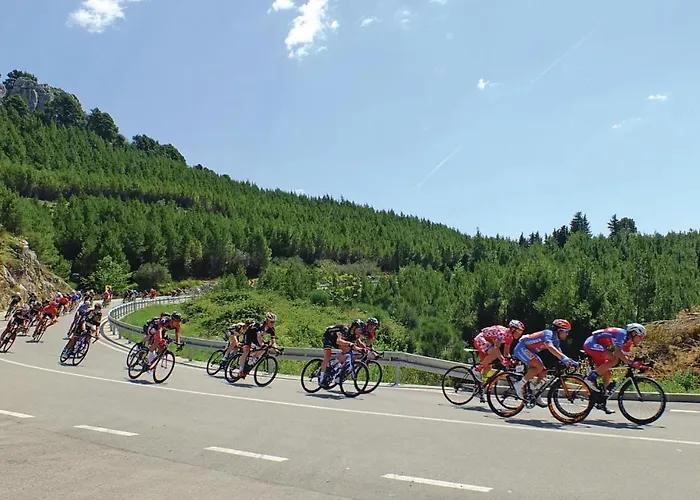 Vukovarska Iv Daire Makarska